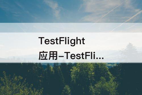 TestFlight应用-TestFlight应用盒