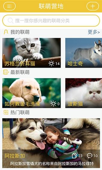 宠物主义