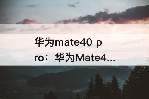 华为mate40 pro：华为Mate40 Pro怎样