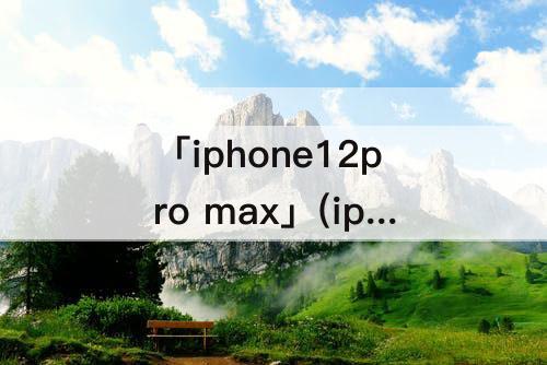 「iphone12pro max」(iphone12pro max配置图)