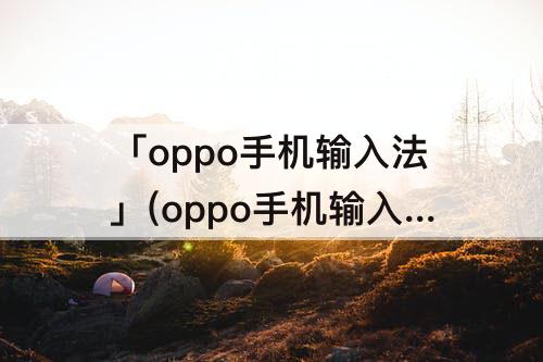 「oppo手机输入法」(oppo手机输入法锁定了怎么解锁)