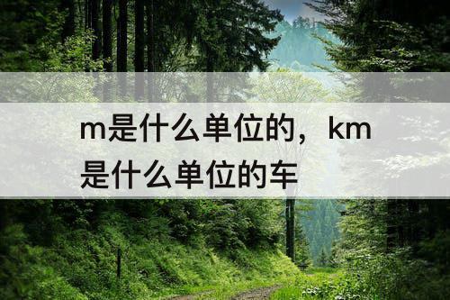 m是什么单位的，km是什么单位的车
