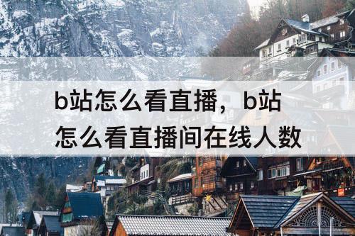 b站怎么看直播，b站怎么看直播间在线人数