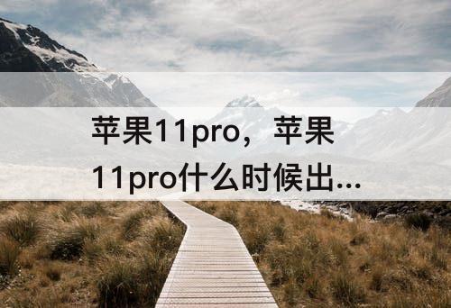 苹果11pro，苹果11pro什么时候出128g