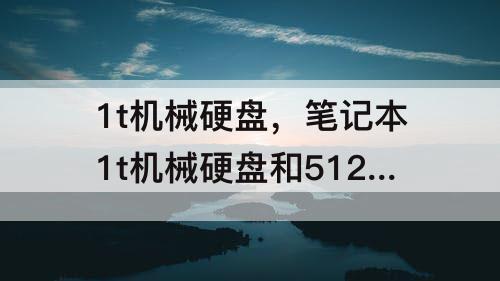 1t机械硬盘，笔记本1t机械硬盘和512g固态哪个好