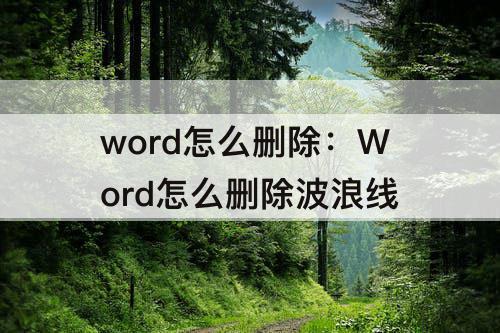 word怎么删除：Word怎么删除波浪线