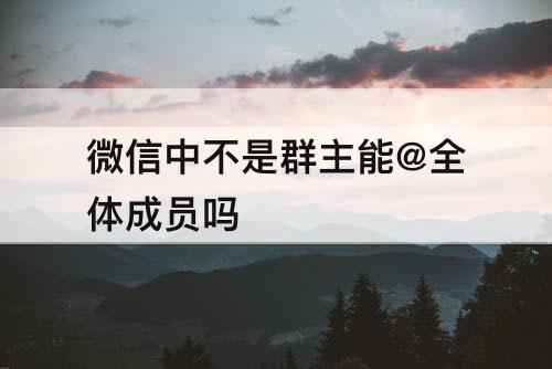 微信中不是群主能@全体成员吗