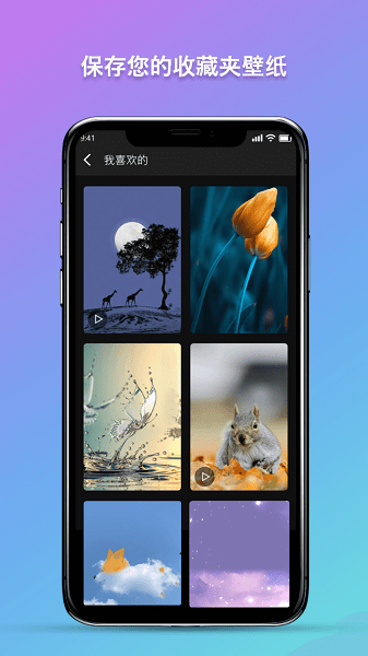 秀秀壁纸