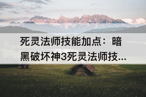 死灵法师技能加点：暗黑破坏神3死灵法师技能加点图片
