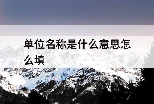 单位名称是什么意思怎么填