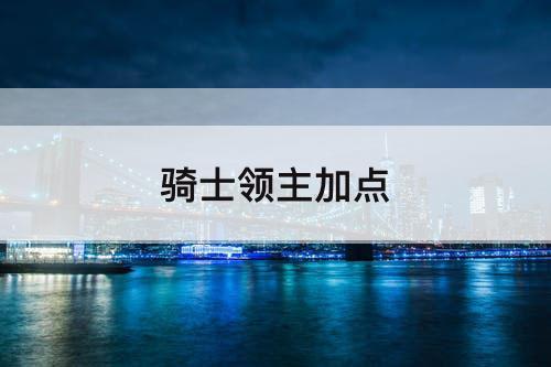 骑士领主加点
