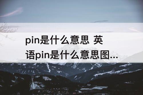 pin是什么意思 英语pin是什么意思图片