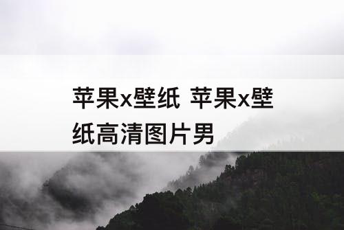 苹果x壁纸 苹果x壁纸高清图片男