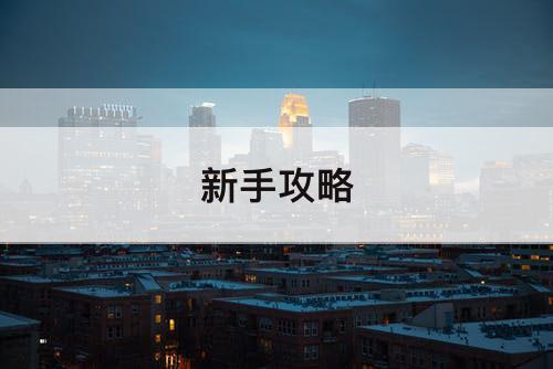 新手攻略