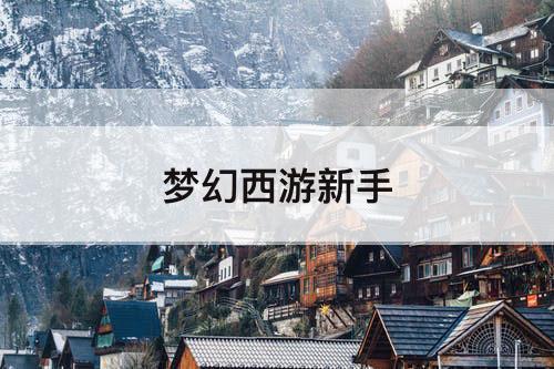 梦幻西游新手