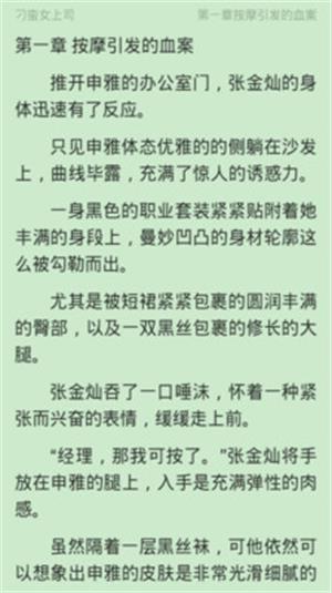 极品小说最新版