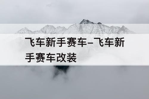 飞车新手赛车-飞车新手赛车改装