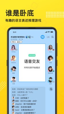 连麦语音软件
