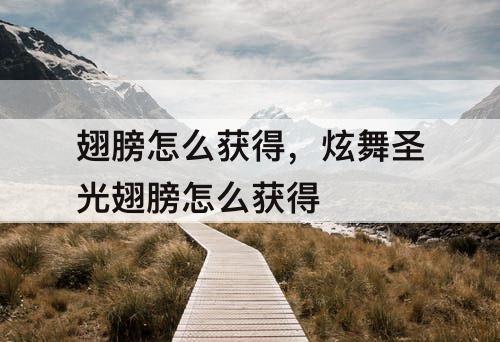 翅膀怎么获得，炫舞圣光翅膀怎么获得