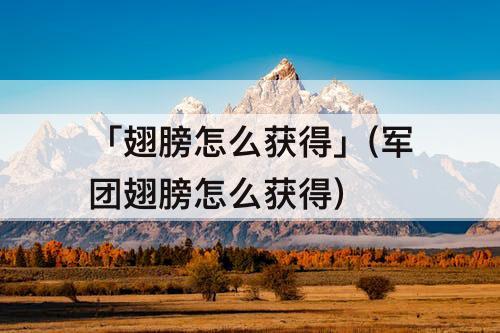 「翅膀怎么获得」(军团翅膀怎么获得)