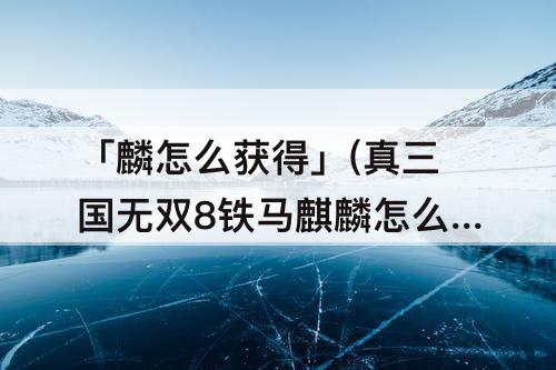 「麟怎么获得」(真三国无双8铁马麒麟怎么获得)
