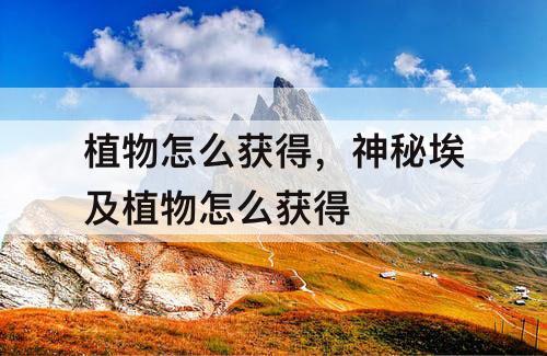 植物怎么获得，神秘埃及植物怎么获得
