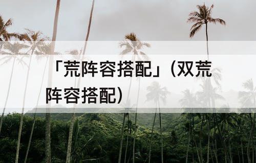 「荒阵容搭配」(双荒阵容搭配)