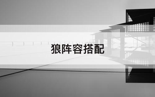 狼阵容搭配