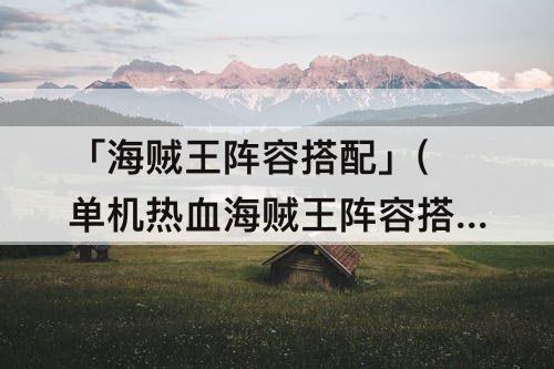 「海贼王阵容搭配」(单机热血海贼王阵容搭配)