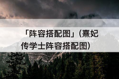「阵容搭配图」(熹妃传学士阵容搭配图)