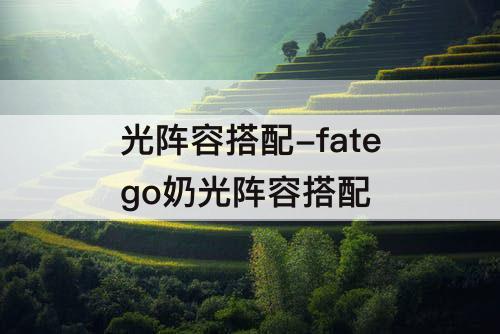 光阵容搭配-fatego奶光阵容搭配