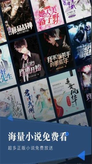 野花香小说网安卓版
