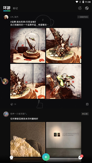 诅咒之岛最新版本