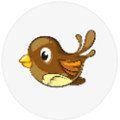 小鳥應急貸款app