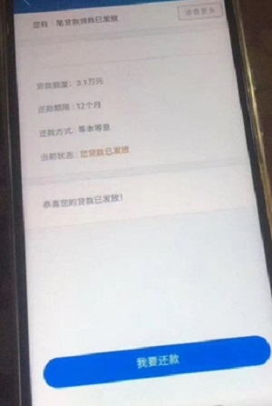 金蝶效贷官网下载app  v9.0.95图1