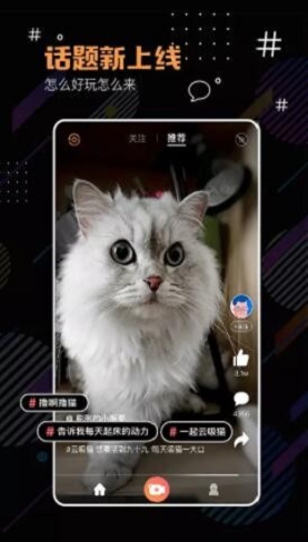 河豚小视频搞笑版在线观看免费下载  v1.0.0图3