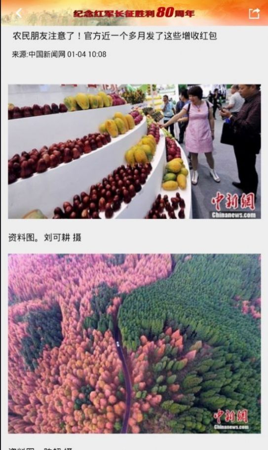 东北新闻网最新版官网  v1.5图1