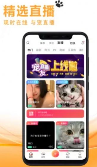 宠友社交平台官网下载安卓手机版  v1.0.7图1