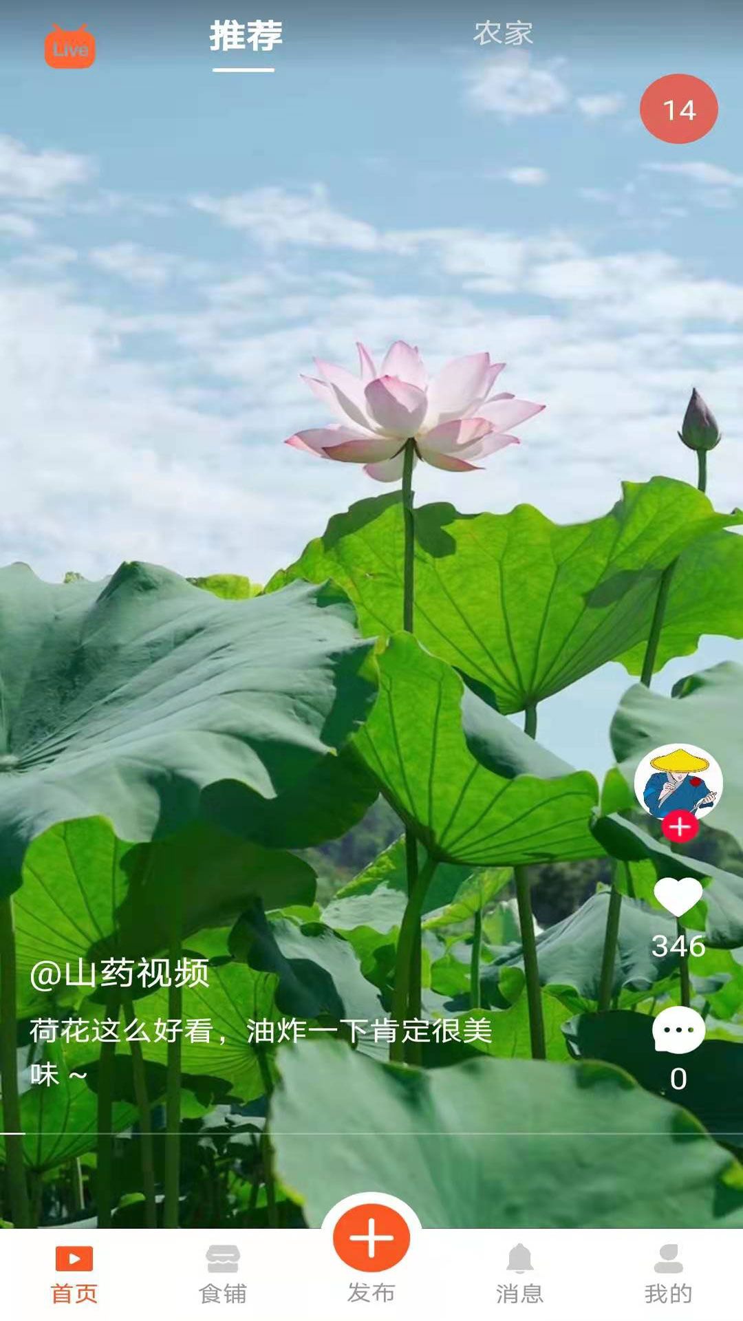 食客江湖下载  v1.4.1图3