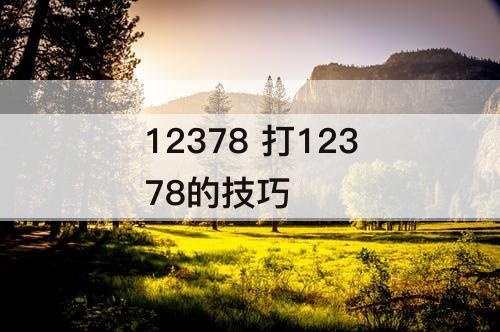 12378 打12378的技巧