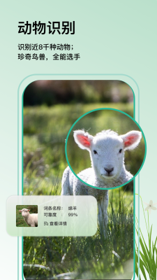 万物识图大字版下载手机版安装