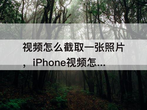 视频怎么截取一张照片，iPhone视频怎么截取一张照片